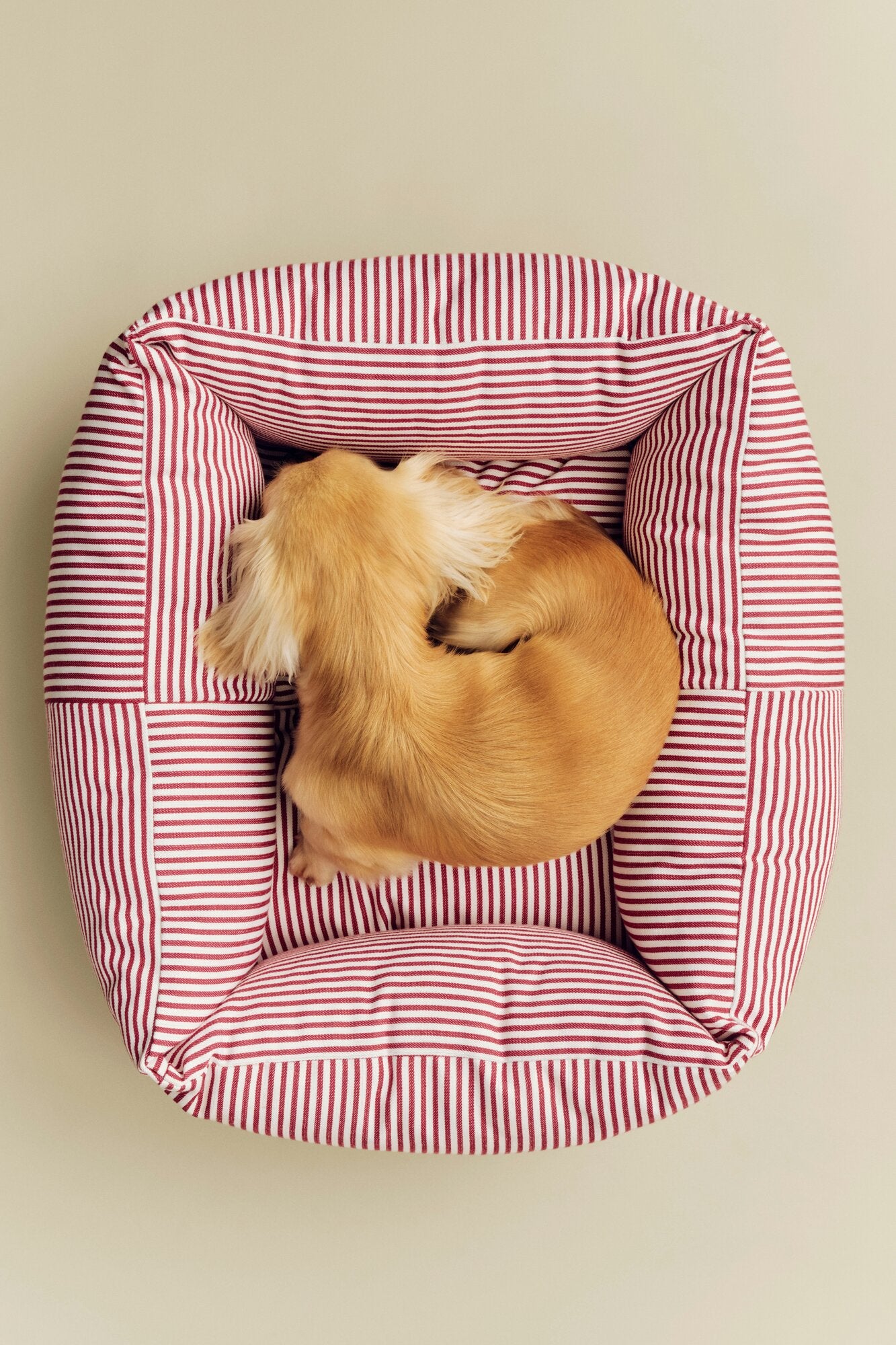 Zip hundekurv, X-Small - Red and white stripe